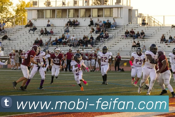 非凡娱乐服务体系